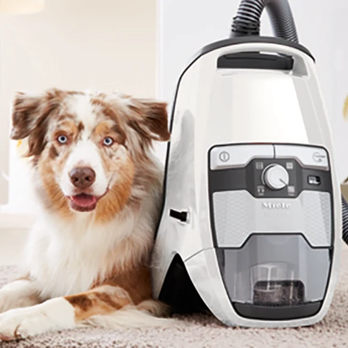 Miele Blizzard CX1 Cat & Dog Bagless Vacuum CFR* - Image 10